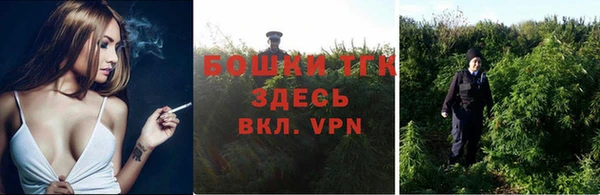 стаф Арсеньев