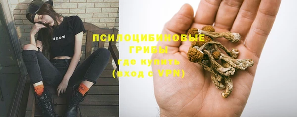 мет Тайга