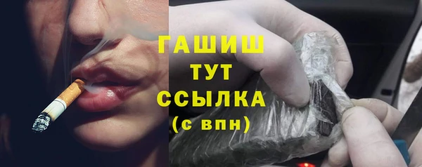 стаф Арсеньев