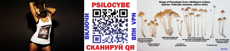 KRAKEN ССЫЛКА  магазин  наркотиков  Волхов  Галлюциногенные грибы Magic Shrooms 